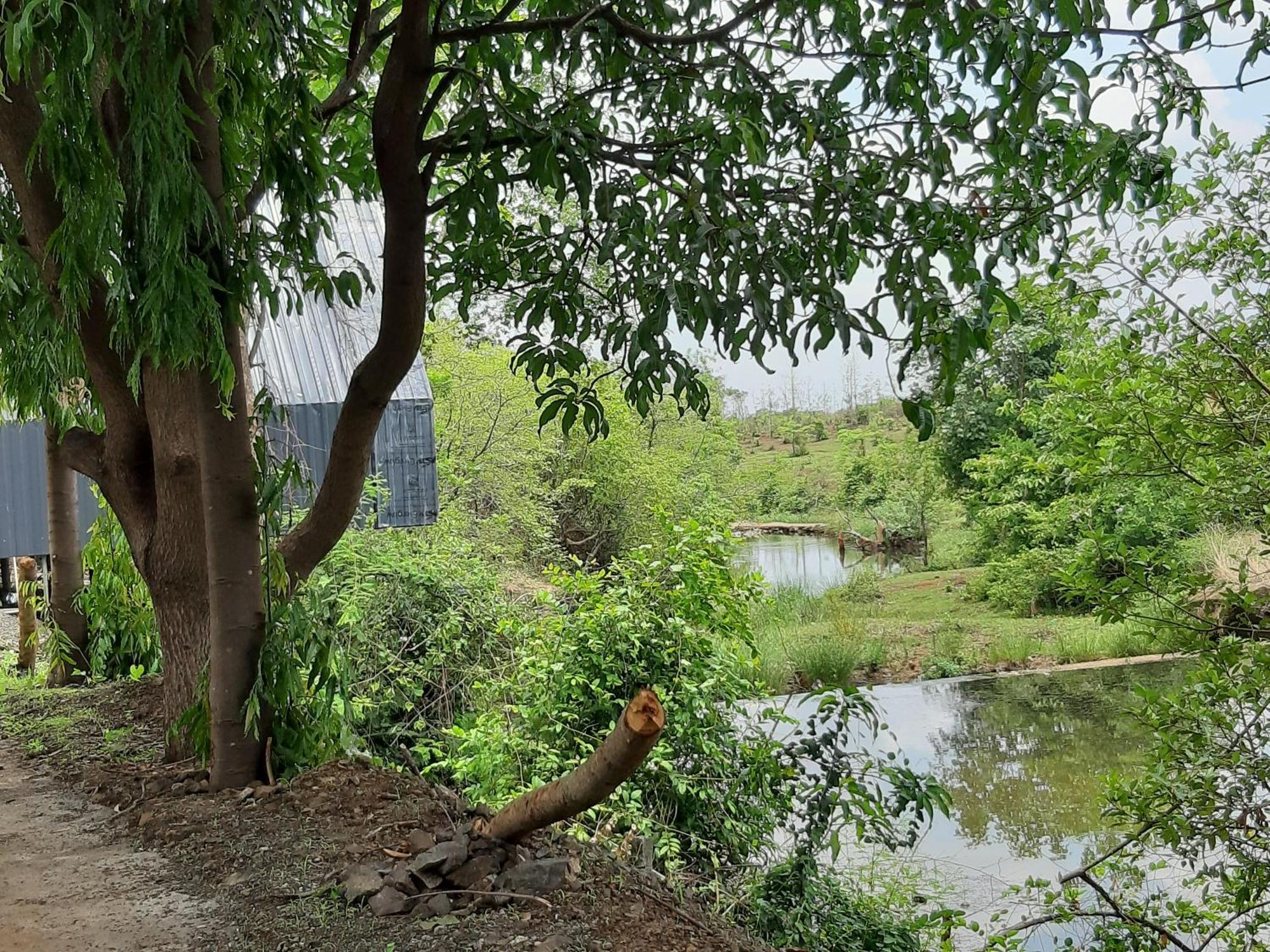 River Ranch Saralgaon Zewnętrze zdjęcie